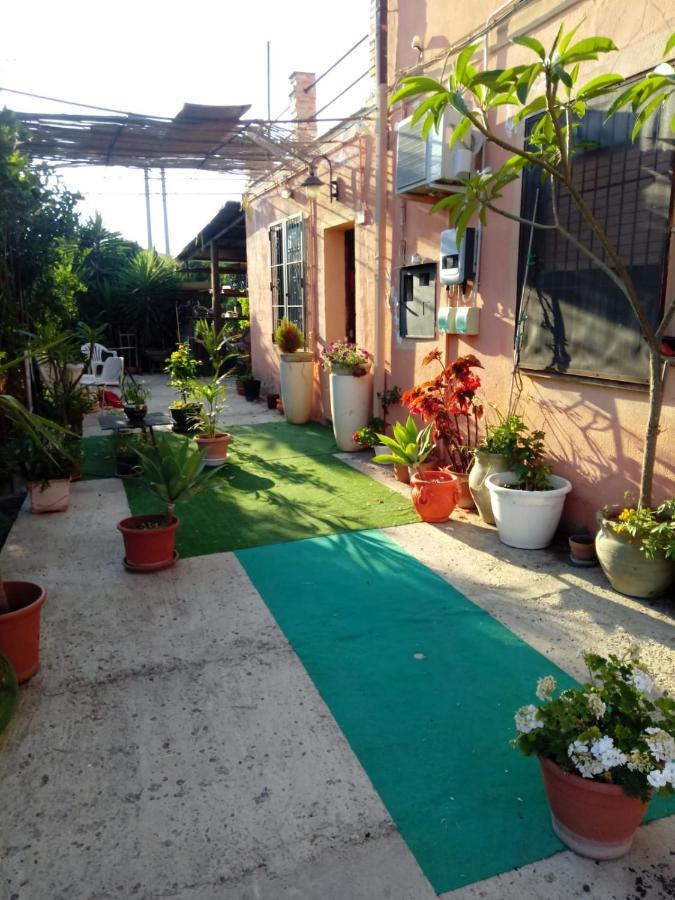 B B Casa Vacanze Il Pino Di Pino Lascari Luaran gambar